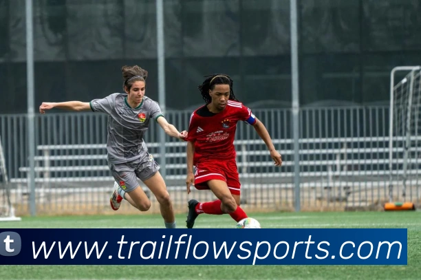 体育下注发展历程